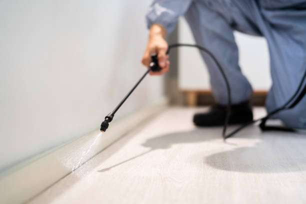 Licensed Termite Control service in Hybla Valley, VA - Nex Pest Control