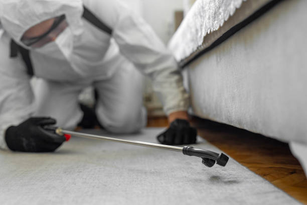 Professional Termite Control technician working in Hybla Valley, VA