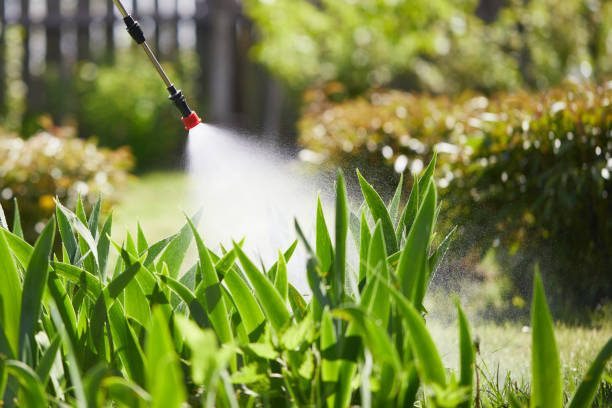 24/7 Emergency Termite Control experts in Hybla Valley, VA