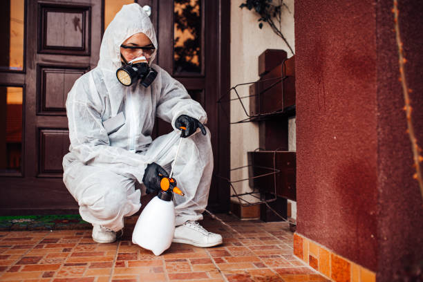 Reliable Termite Control contractor in Hybla Valley, VA by Nex Pest Control