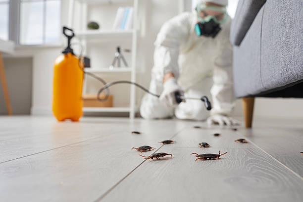 Trusted Cockroach Control service in Hybla Valley, VA - Nex Pest Control