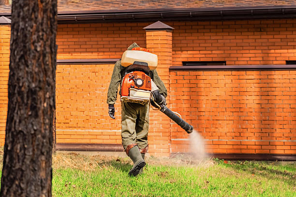 Trusted Fumigation Services service in Hybla Valley, VA - Nex Pest Control